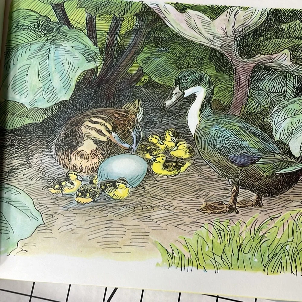 The Ugly Duckling book by Hans Christian Andersen, iilus. Johannes Larsen,